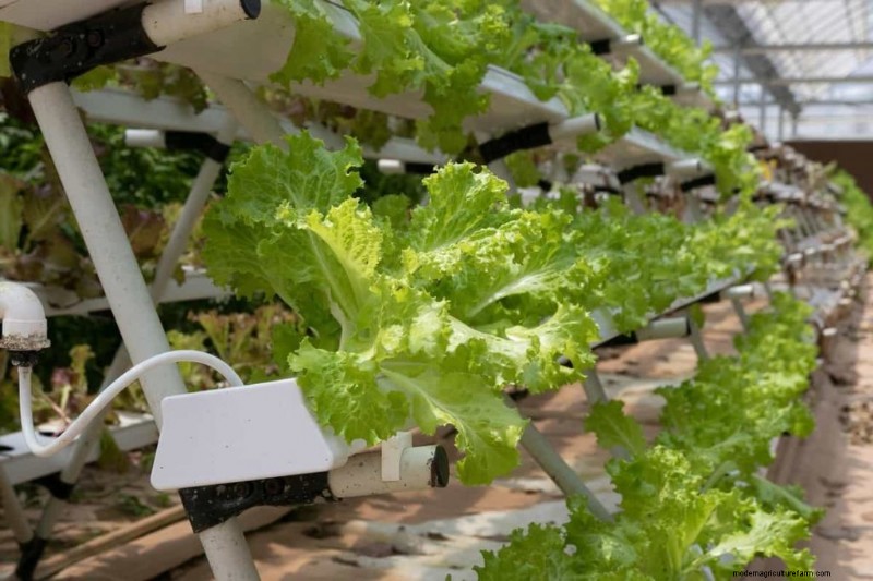 Vertical Farming-Kosten:Eine umfassende Kostenaufschlüsselung für Einsteiger 