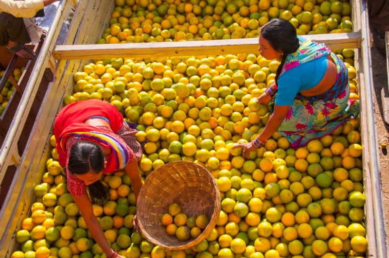 Citrusbehoud:duurzame oplossingen voor versheid en kwaliteit 