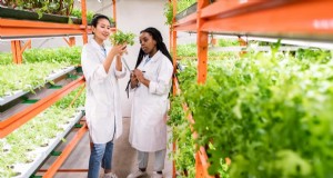 La coltura idroponica nell istruzione:apprendimento STEM e sostenibilità per le scuole 