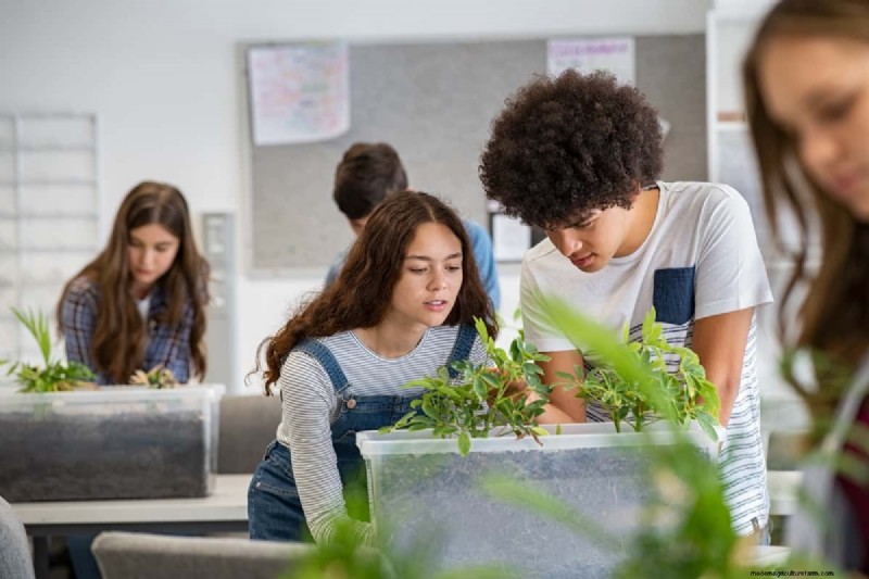 La coltura idroponica nell istruzione:apprendimento STEM e sostenibilità per le scuole 