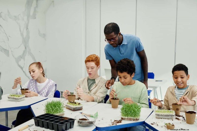 La coltura idroponica nell istruzione:apprendimento STEM e sostenibilità per le scuole 