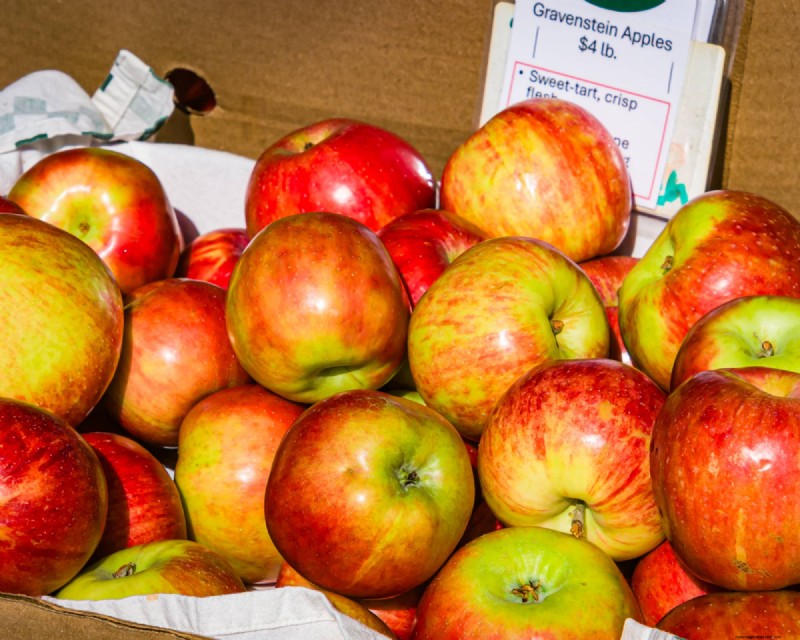 Heirloom Apples:En guide till att odla unika sorter 