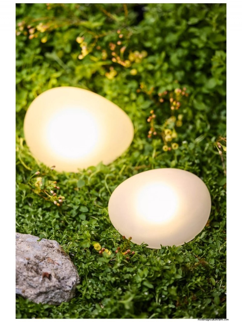 I migliori regali per la festa della mamma per mamme amanti del giardino | [Nome del tuo marchio/sito web] 