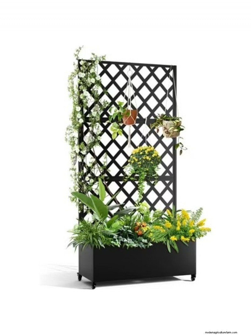 I migliori regali per la festa della mamma per mamme amanti del giardino | [Nome del tuo marchio/sito web] 