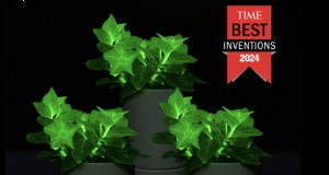 Firefly Petunia:het kweken van  s werelds eerste bioluminescente plant | Licht bio 