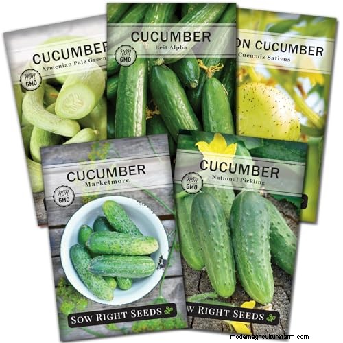 夏の豊かな収穫のために5月に植えるのに最適な野菜 