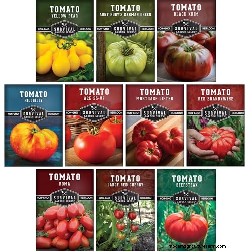 夏の豊かな収穫のために5月に植えるのに最適な野菜 