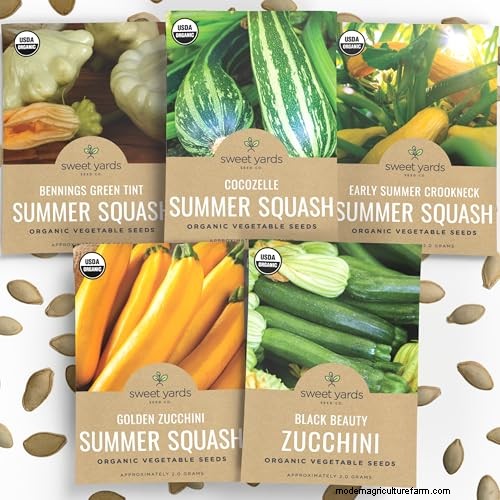 夏の豊かな収穫のために5月に植えるのに最適な野菜 