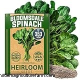 Coltivare gli spinaci:una guida completa per coltivare spinaci nutrienti 