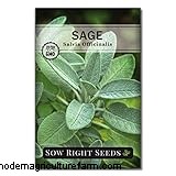 Coltivare e prendersi cura della salvia (Salvia officinalis):una guida completa 