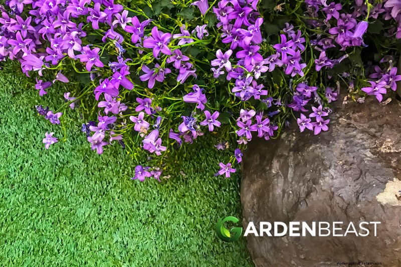 Paesaggistica commestibile:progetta e coltiva un giardino bello e produttivo 