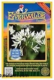 Wilder Lauch (Allium Ampeloprasum):Leitfaden für Anbau und Pflege 