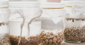 Seed Saving 101:een uitgebreide gids voor tuinders en preppers 