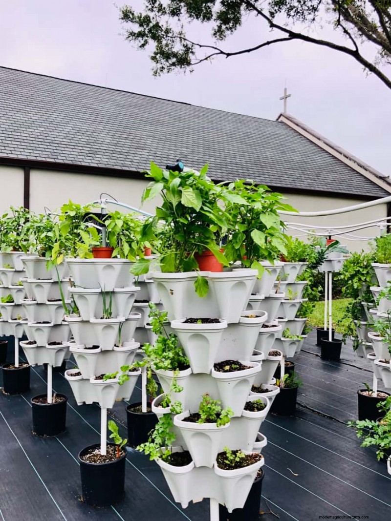 Verticale tuinkosten in India:een uitgebreide kostenanalyse en prijsgids 