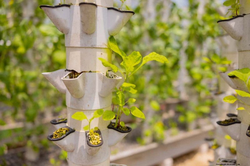 Verticale tuinkosten in India:een uitgebreide kostenanalyse en prijsgids 