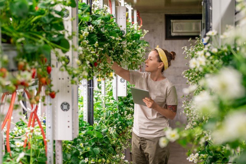 Verticale tuinkosten in India:een uitgebreide kostenanalyse en prijsgids 