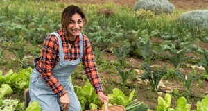 Jardinería orgánica económica:técnicas y recursos de bajo costo 