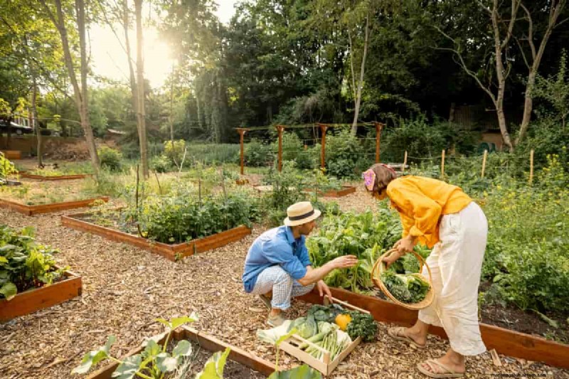 Budget biologisch tuinieren:goedkope technieken en hulpmiddelen 