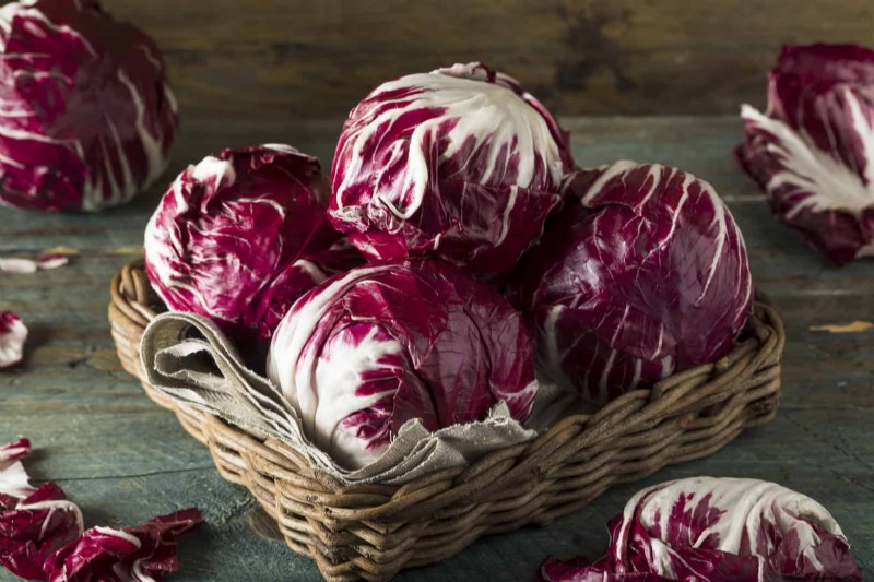 Radicchio:planten, groeien en oogsten - een complete gids 