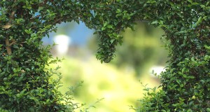 Therapeutische tuinbouw voor seniorenwelzijn:een gids voor gezinnen 