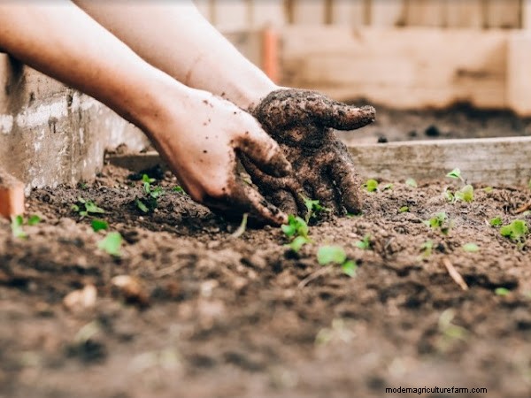 Coinvolgere le attività di giardinaggio per gli studenti:una guida completa 