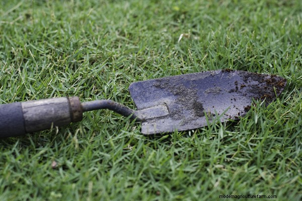 Garten-Grundlagen:Must-Have-Ausrüstung für Anfänger 