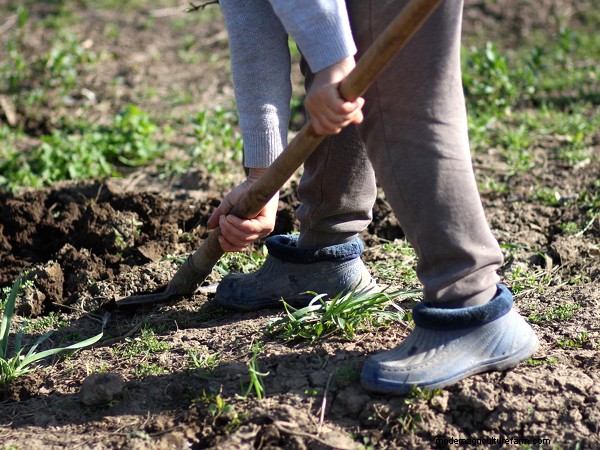 Garten-Grundlagen:Must-Have-Ausrüstung für Anfänger 