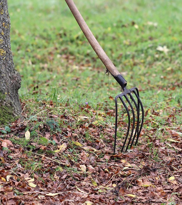 Garten-Grundlagen:Must-Have-Ausrüstung für Anfänger 