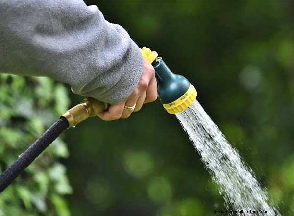 Garten-Grundlagen:Must-Have-Ausrüstung für Anfänger 