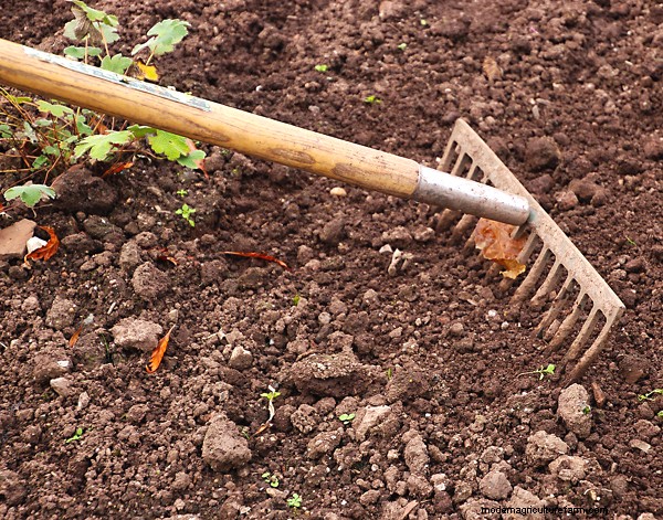 Garten-Grundlagen:Must-Have-Ausrüstung für Anfänger 