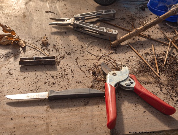 Garten-Grundlagen:Must-Have-Ausrüstung für Anfänger 