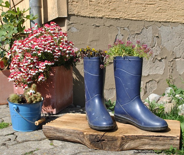 Garten-Grundlagen:Must-Have-Ausrüstung für Anfänger 