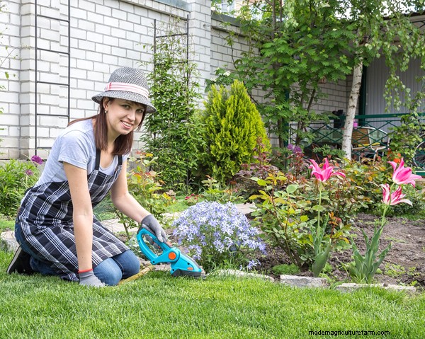 Garten-Grundlagen:Must-Have-Ausrüstung für Anfänger 