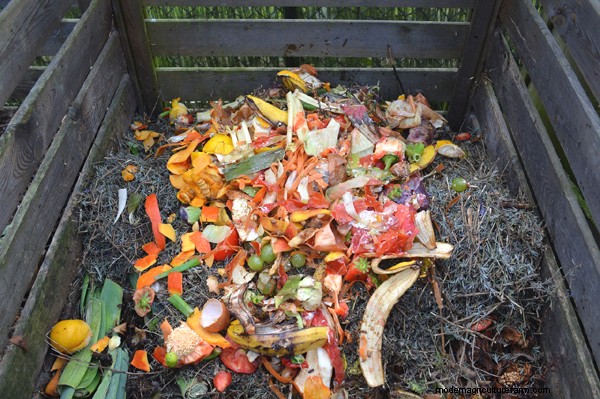 Garten-Grundlagen:Must-Have-Ausrüstung für Anfänger 