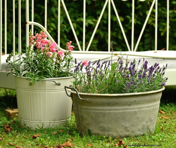 Garten-Grundlagen:Must-Have-Ausrüstung für Anfänger 