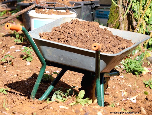 Garten-Grundlagen:Must-Have-Ausrüstung für Anfänger 