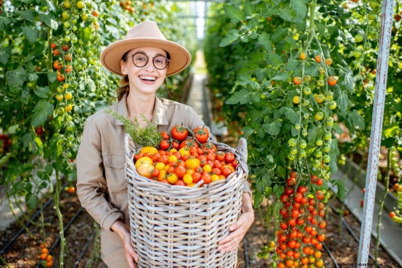 健康なトマト作物のための有機害虫駆除 |持続可能な農業 