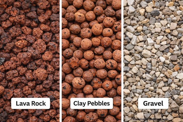 Roccia lavica in acquaponica:vantaggi e migliori pratiche 