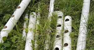 Outdoor-Aquaponik:Ein umfassender Leitfaden zur nachhaltigen Lebensmittelproduktion 
