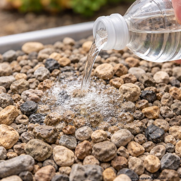 Grind in aquaponics:een betrouwbaar en kosteneffectief kweekmedium 