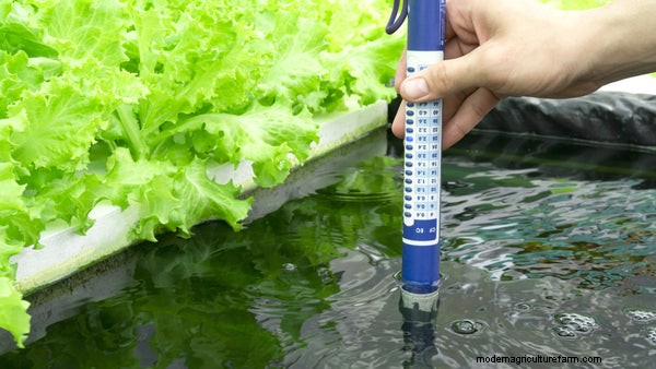 Qualità dell acqua Aquaponics:una guida completa a pH, ammoniaca e nitrati 