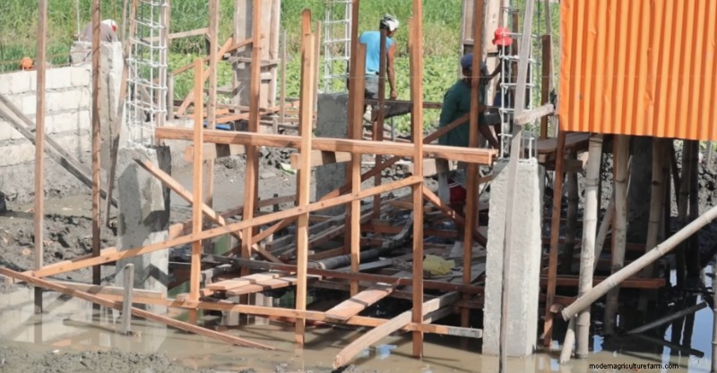 Dexter s World Farm:duurzame landbouw en tilapiaproductie 