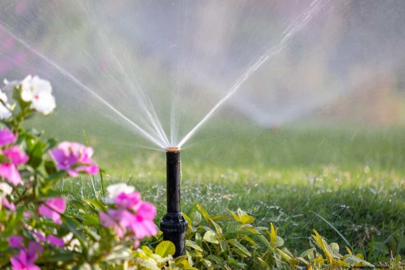 Tuinirrigatiekosten in het VK:een uitgebreide gids 