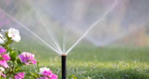 Kosten für die Gartenbewässerung im Vereinigten Königreich:Ein umfassender Leitfaden 