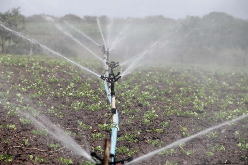Tuinirrigatiekosten in het VK:een uitgebreide gids 