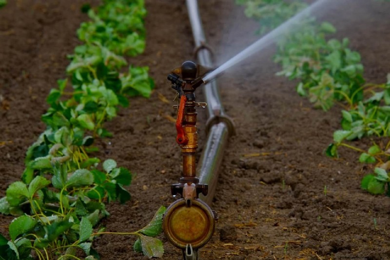 Tuinirrigatiekosten in het VK:een uitgebreide gids 