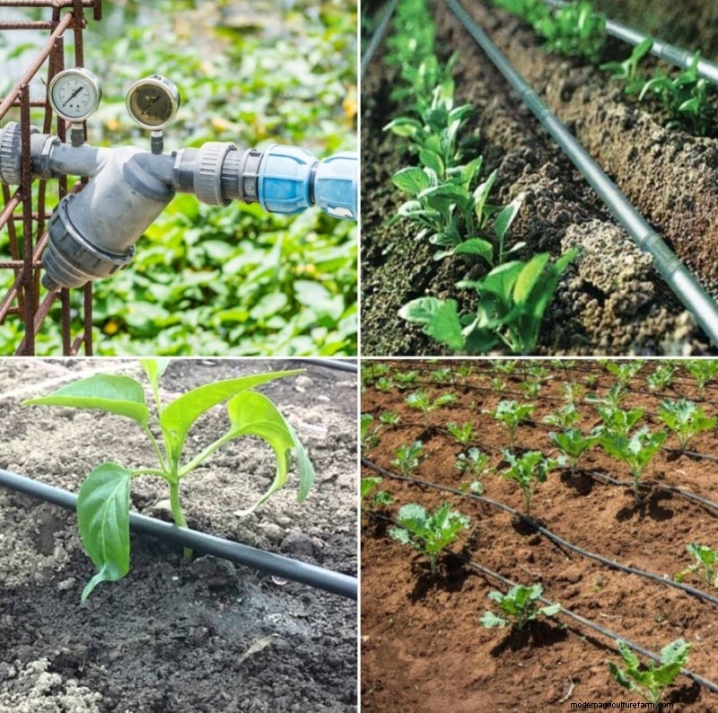 Tuinirrigatiekosten in het VK:een uitgebreide gids 