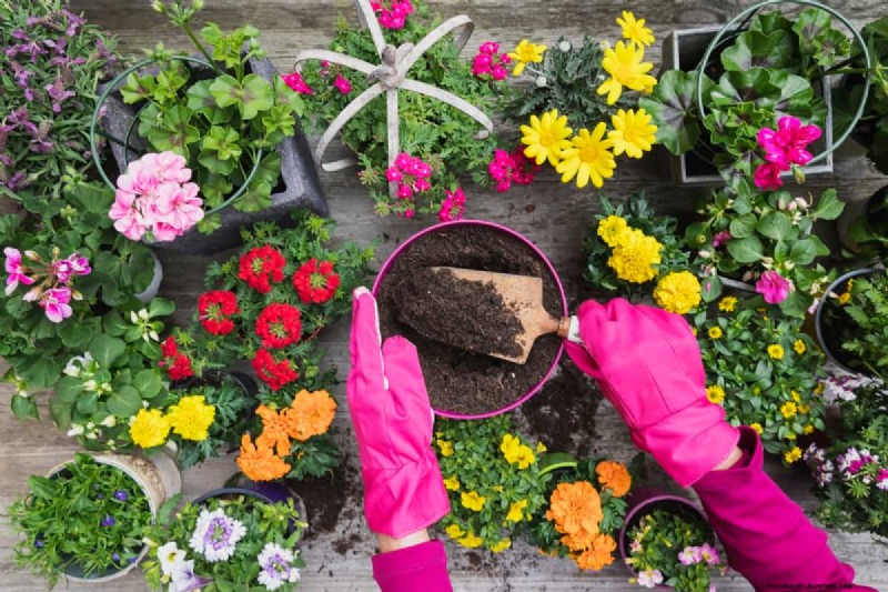 Costi del giardinaggio in terrazza in India:una guida completa al giardinaggio in container a basso costo 