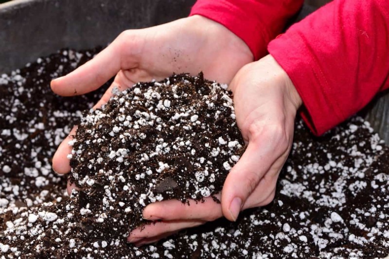 Optimale grond voor saffraan:een tuinmangids voor voorbereiding 