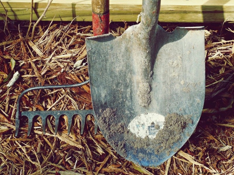 Strumenti di giardinaggio essenziali per principianti:una guida completa 